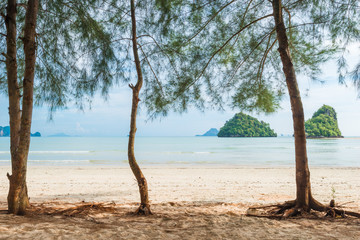 empty sandy beach with trees, sea view Thailand