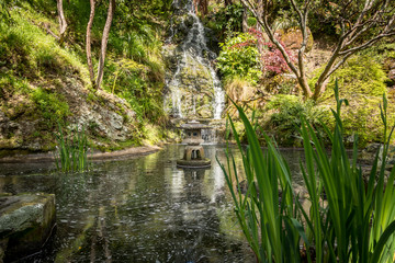 Fototapeta na wymiar City Japanese Garden Pond