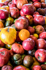farmers market produce