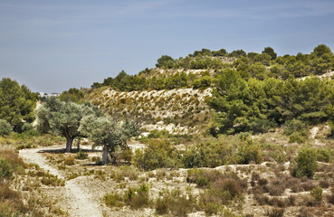 Fototapeta premium Landscape near Villajoyosa. Province of Alicante. Spain