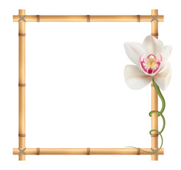 Realistic bamboo frame with orchid flower.