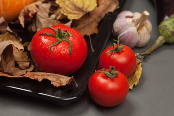 Autumn concept with seasonal vegetables, organic food background; Autumn harvest with Farmers Vegetable on dark  background. Thanksgiving day concept