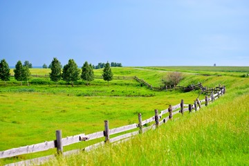 Obraz premium native land