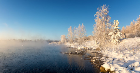 Заснеженный зимний лес кустами и елями на берегу реки с туманом, Россия, Урал, январь