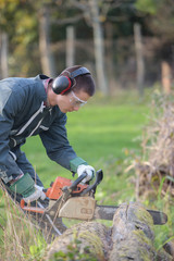 Naklejka premium cutting a fallen tree