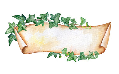 Banner and ivy. Vintage paper. Yellow roll of paper with leaves. Curling plant. Papyrus. Watercolor. Illustration