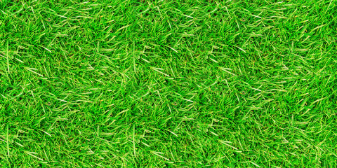 Background of green grass