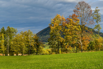 Mostviertel