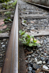 Travel in memory, Old rusty railroad tracks