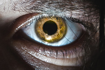 Eye close-up with a yellow pupil on a halloween horror