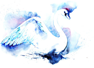 swan © okalinichenko