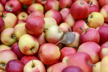 Background of fresh juicy red-yellow apples
