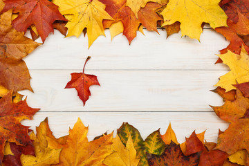 Naklejka na ściany i meble White wooden background with autumn maple leaves