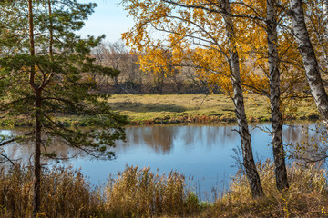 autumn landscape on the river bank