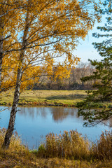 bright autumn landscape on the river bank