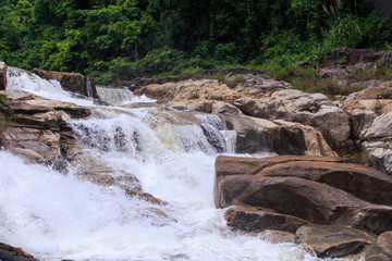 Closeup Foamy Waterfall in Stones by Trees
