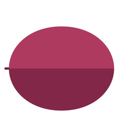 Melon vector flat icon