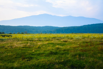 in a mountain valley