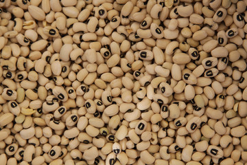 Full frame dry beans.