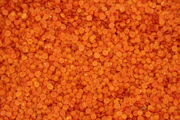 Full frame lentil.