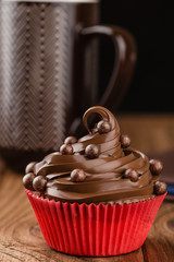 Homemade chocolate cupcake with chocolate chips