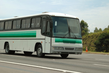 Old white and green striped bus on the road