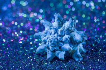 Blue seashell on a colorful shiny background