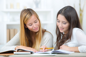 two students studying together