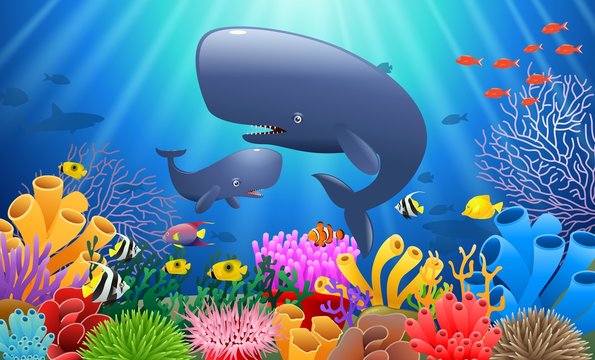 Cartoon sperm whale swimming in the sea. Vector illustration