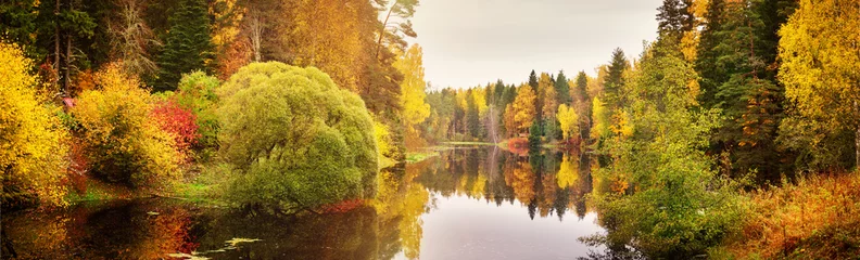 Photo sur Plexiglas Arbres arbres aux feuilles multicolores sur la rive du lac