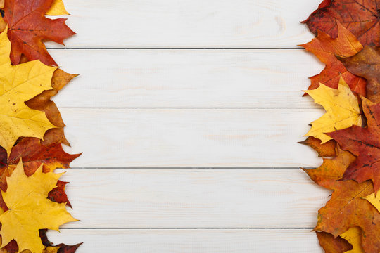 Fallen maple leaves on white wooden background. Autumn concept.