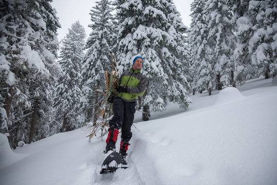 Happy traveler, in snowshoes, drags an armful of firewood