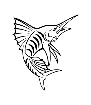 fish marlin