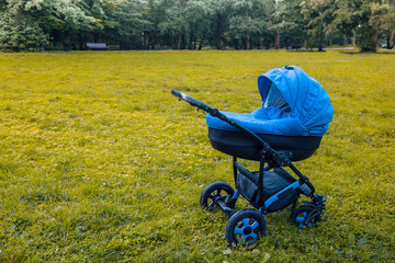 A stroller strolls in the park 