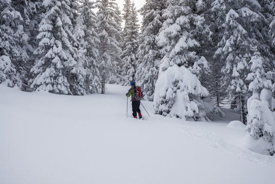 Traveler, with backpack, is walking in deep snow