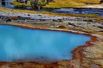 Yellowstone National Park