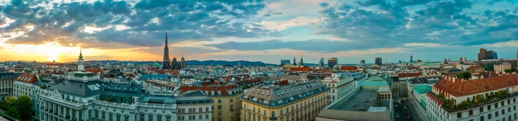 Selbstklebende Fototapeten Weinen Panoramablick über Wien  © Guy