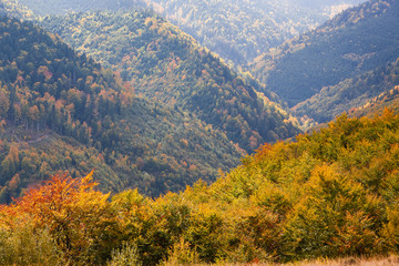 beautiful autumn scene in Apuseni mountains, Carpathians, Romania