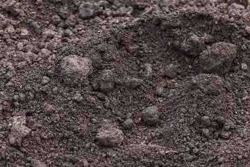Earth. Texture. Grow. Garden. For your design.