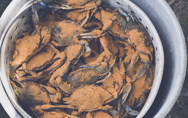 Seasoned Maryland blue crabs