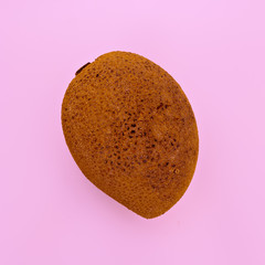 Exotic tropical fruit. Sapodilla Minimal art