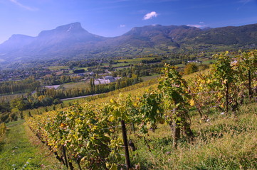 Fototapeta na wymiar campagne de savoie 