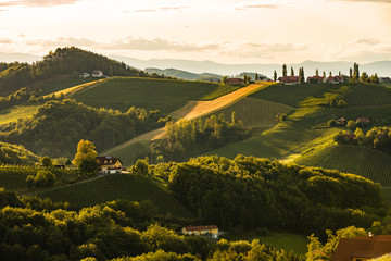 countryside in southern styria