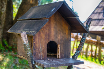 bird house