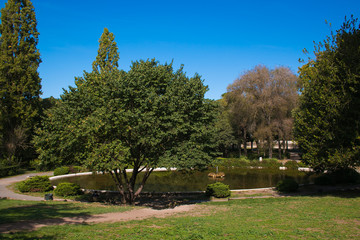 Fototapeta na wymiar Piccolo laghetto nel giardino di Villa Borghese a Roma