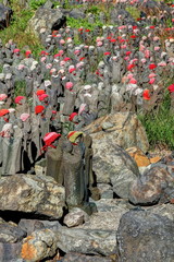 那須の千体地蔵