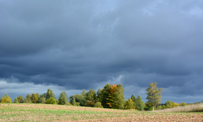Naklejka premium dark blue sky with clouds over the field. A dramatic landscape. Before the hurricane.