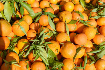 Oranges in market, Marrakesh, Morocco
