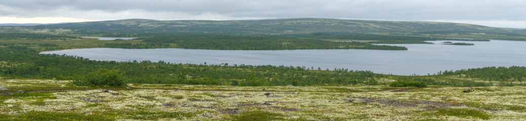 Fototapeta na wymiar Panoramic view of the lake in the tundra of the Kola Peninsula. The Arctic, Russia.