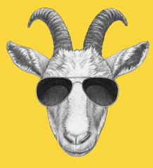 Portrait of Goat with sunglasses. Hand-drawn illustration.
